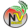 nv logo