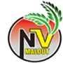 nv logo